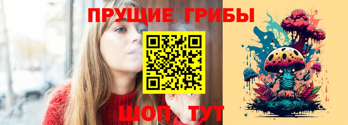 Псилоцибиновые грибы Cubensis Обь
